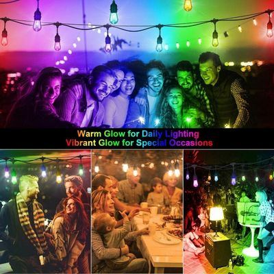 Decoración Rgb S14 Led Holiday String Light Para LED multicolor con frecuencia de 50Hz/60Hz