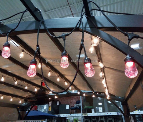 Decoración Rgb S14 Led Holiday String Light Para LED multicolor con frecuencia de 50Hz/60Hz