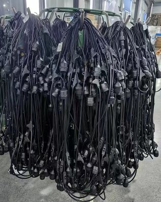 IP65 resistente al agua lámpara de luz LED para decoración y ambiente festivo