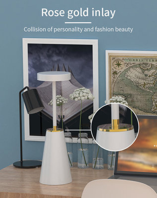 Lámpara de mesa de atmósfera de luz nocturna de metal con interruptor táctil para decoración de luz LED inteligente