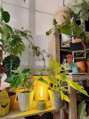 80 Ra Regalos Artísticos Luz repelente de mosquitos para el festival de luz nocturna y lámpara de mesa